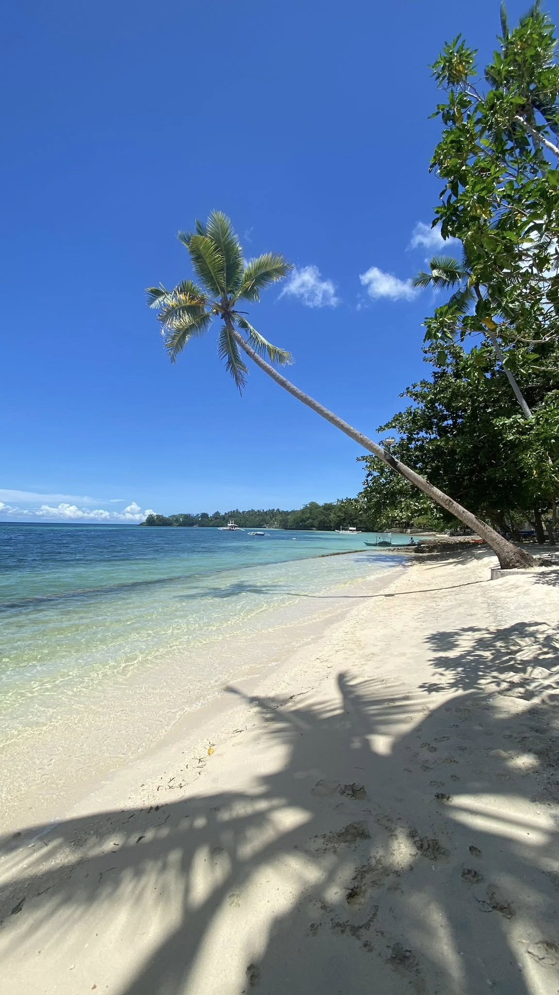 Ultimate Cebu Travel Guide 2025