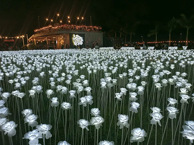 10,000 Roses Café in Cordova, Cebu: A Blooming Coastal Escape